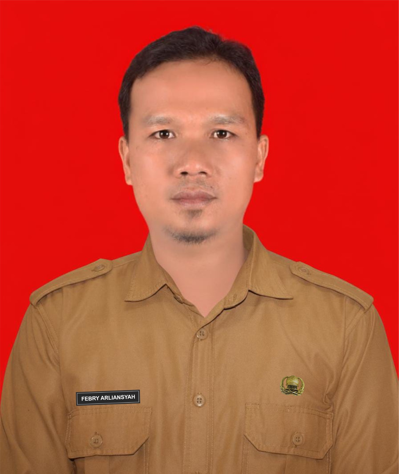 Febry Arliansyah, S.T